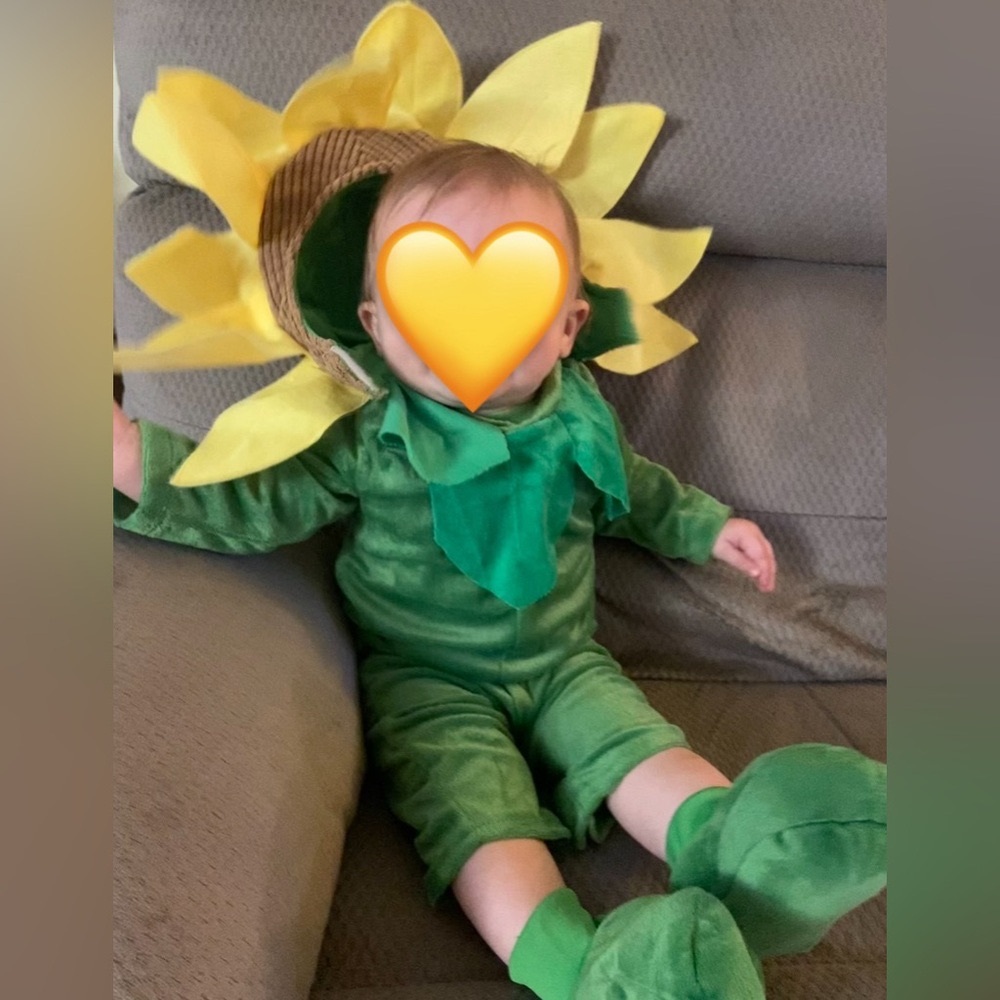Baby and parent costume SUNFLOWER 🌻 in a pot. 9mo
